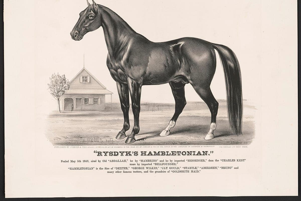 Historic lithograph of the stallion Hambletonian 10 (Rysdyk's Hambletonian)