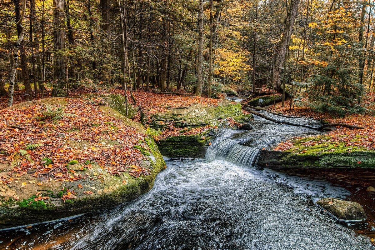 A shallow pool along a stream in Rock Hill, NY