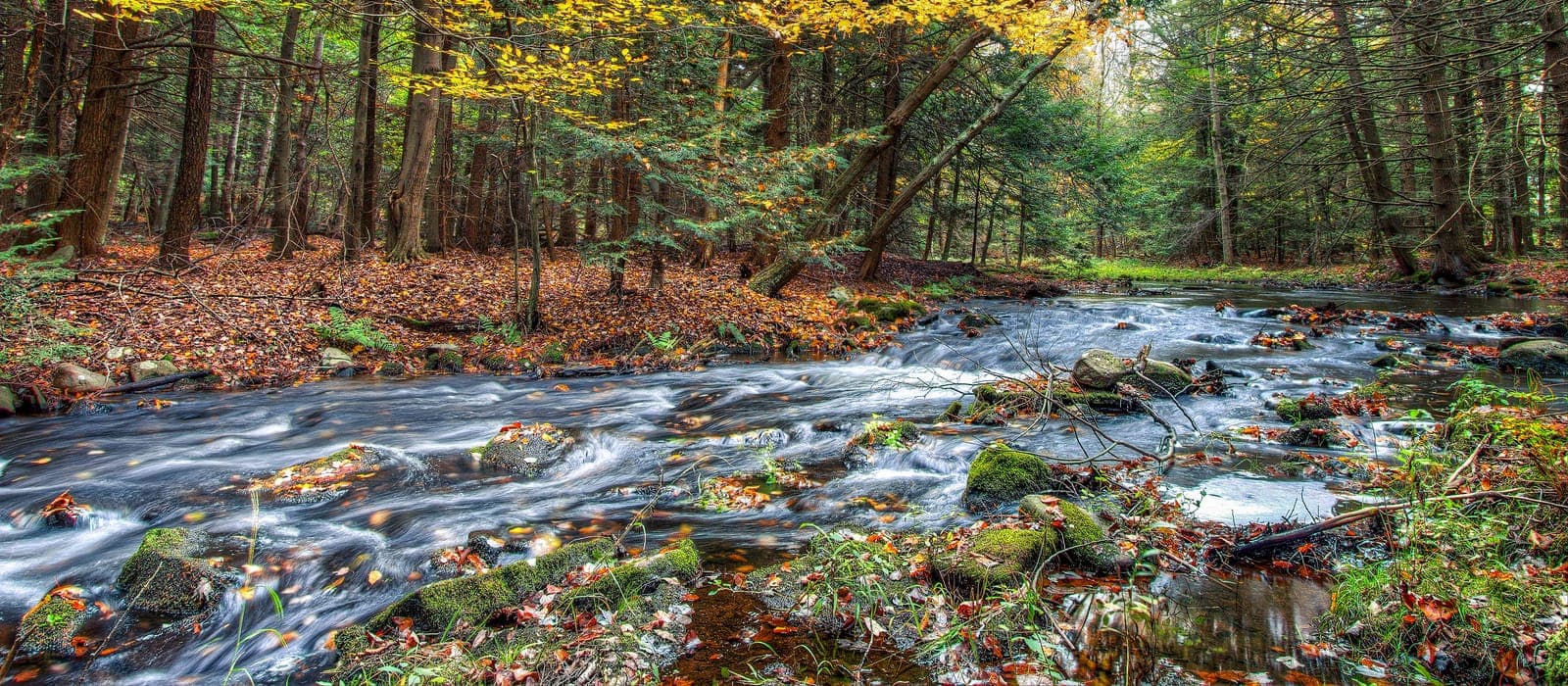 A shallow stream in Rock Hill, NY