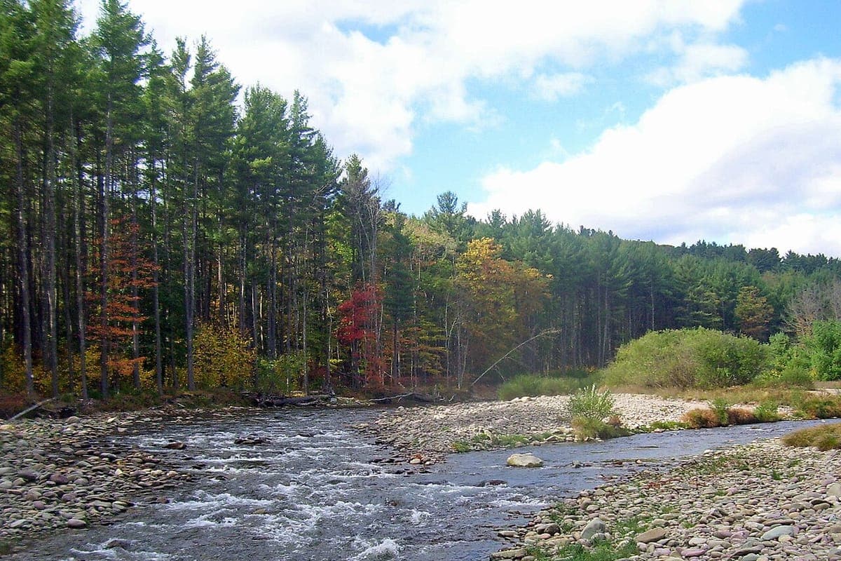 Confluence of the east and west branches of the Neversink River in Sullivan County, NY