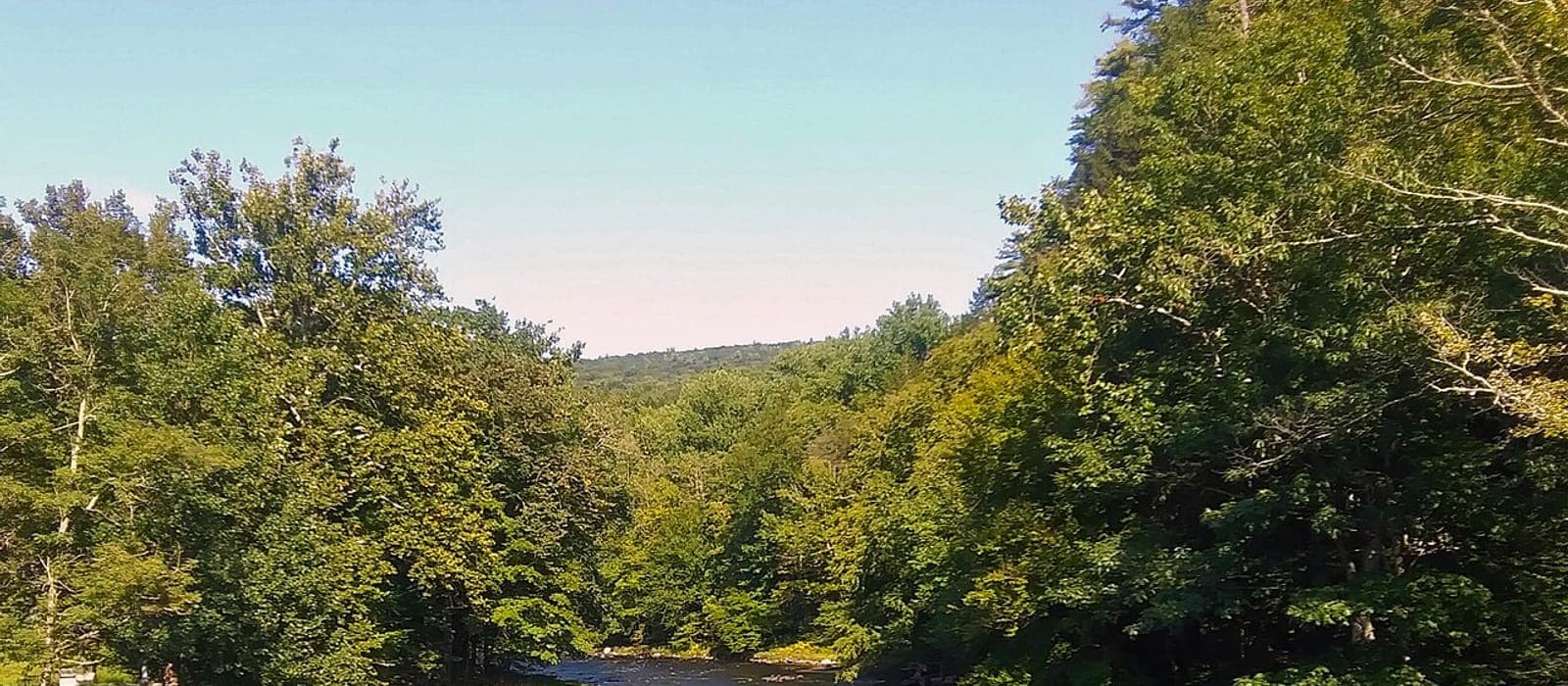 The Neversink River at Oakland Valley in Sullivan County, NY